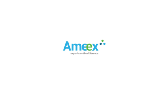 Ameex Technologies Off-Campus Drive