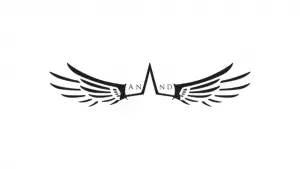 Anand Systems Engineering Recruitment