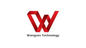 Wangoes Technology Recruitment
