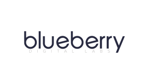Blueberry Digital Labs Recruitment