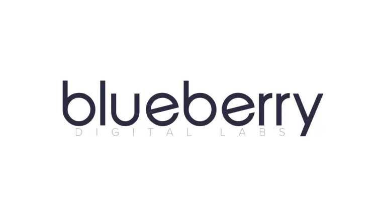 Blueberry Digital Labs Recruitment
