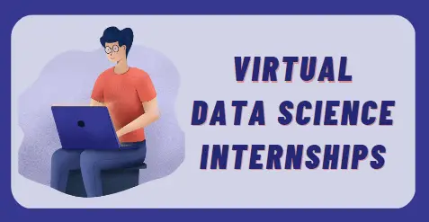 Virtual internships