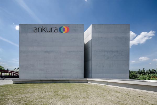 Ankura Summer Internship