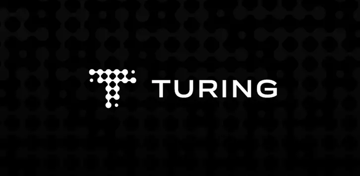 Turing Work From Home Opportunity